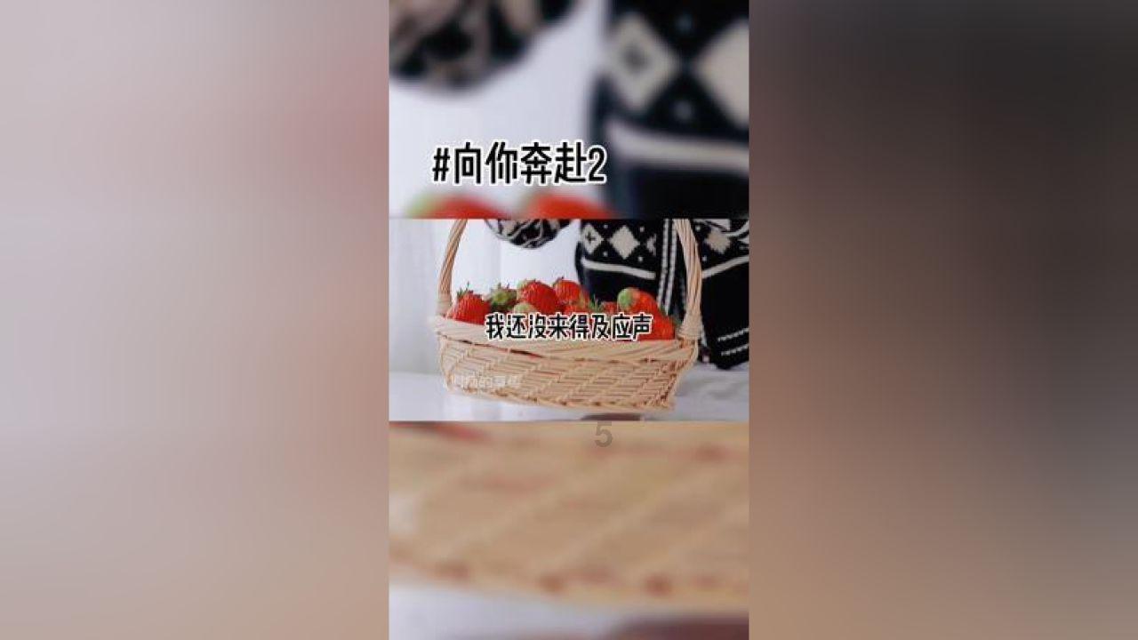 双人跨栏赛跑
