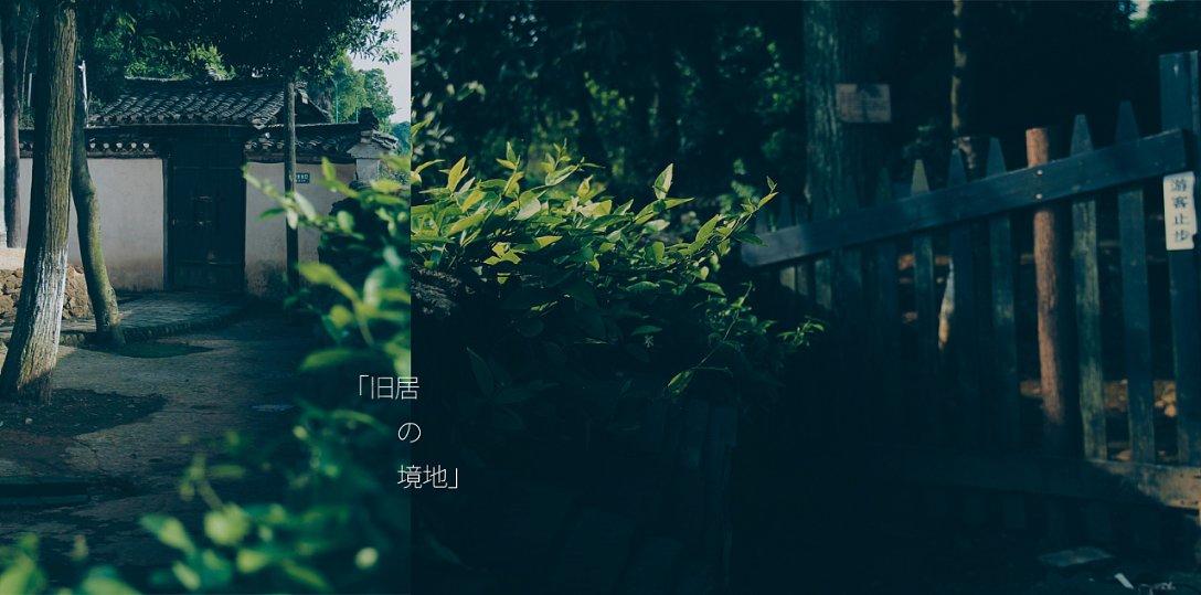 萌宠大连接