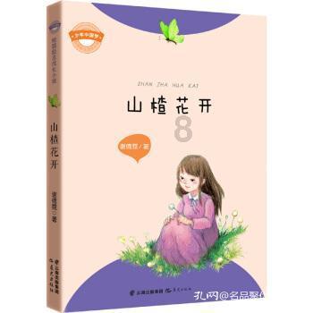 豪华轿车记忆卡