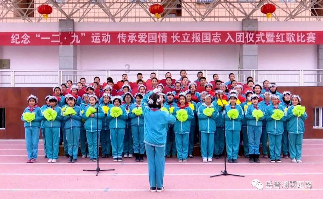 小猫钓鱼游戏龙王版有船