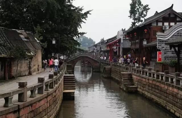 白孔雀救援