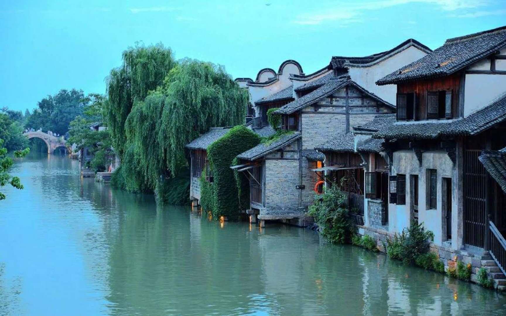 救援淘气的小狗