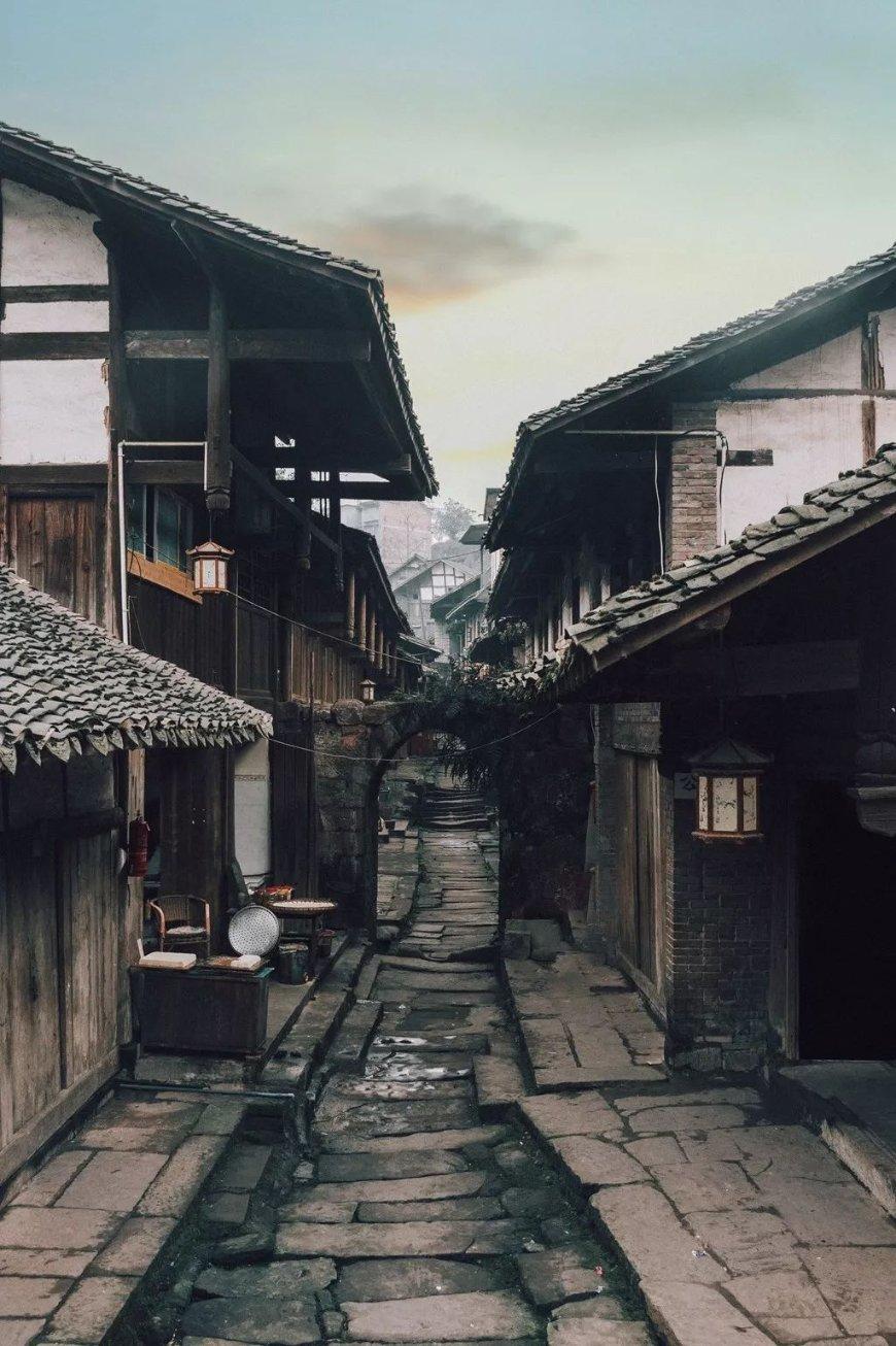 春雨直播app